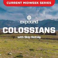 Colossians 1:15-29