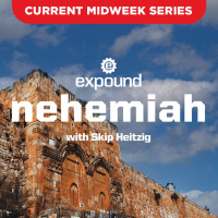 Nehemiah 10-11