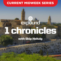 1 Chronicles 21-24
