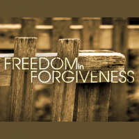 Freedom in Forgiveness - Audio