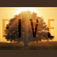 Five - Audio