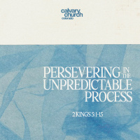 #20260722 - Persevering in the Unpredictable Process