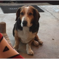 Jethro