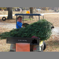 The Christmas Story