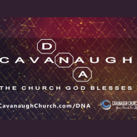 DNA: The Church God Blesses Part 3 - Audio