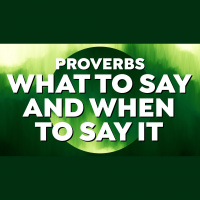 What To Say and When To Say It - Audio