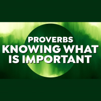 Knowing What Is Important - Audio