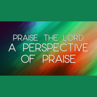 A Perspective of Praise - Audio