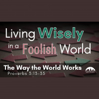 The Way the World Works - Audio