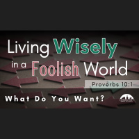 What Do You Want? - Audio