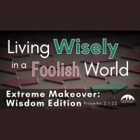 Extreme Makeover: Wisdom Edition - Audio