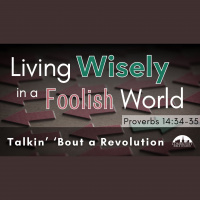 Talkin#x2019 #x2018Bout a Revolution - Audio