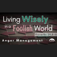 Anger Management - Audio