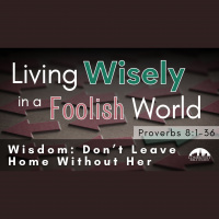 Wisdom: Don#x2019t Leave Home Without Her - Audio