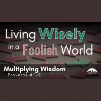 Multiplying Wisdom - Audio