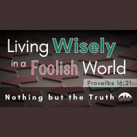 Nothing but the Truth - Audio