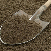 Preparing the Soil for our and Suddenlies