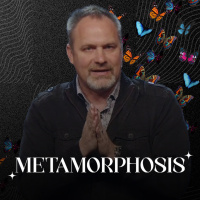 The Role of Community