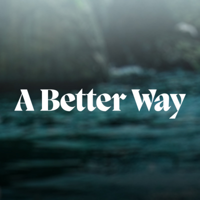 Mynewlifechurch.com