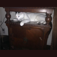 LEAP: with Brian Sly of Emblem Media and Mindset Coach Errol McLendon