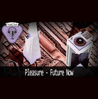 Fermata Tracks #151 - Pleasure - Future Now