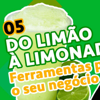 05 Do Limão à Limonada | Ferramentas para o seu negócio | Raphael Tavares