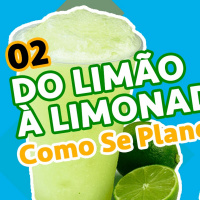 02 Do Limão à Limonada | Como Se Planejar | Raphael Tavares