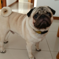 Eu não preciso disso