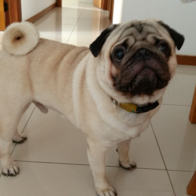 Yangcast - Onde Filosofia, Psicologia E Oratória Se Encontram