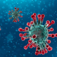 O corona vírus e o Exame de Ordem