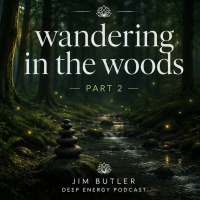 Deep Energy 2452 - Wandering in the Woods - Part 2