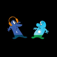 Sonora 340 - Night 4