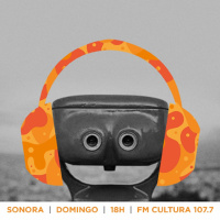 Sonora 25 - 1o Semestre 2016