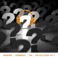 Sonora 146 - Perguntas 2