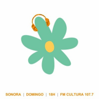Sonora 171 - Flores 2