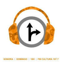 Sonora 106 - Trânsito