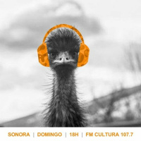 Sonora 173 - Animais 3