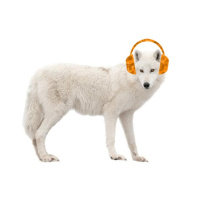 Sonora 285 - Animals 5