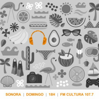 Sonora 141 - Summer 2