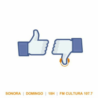 Sonora 166 - Down