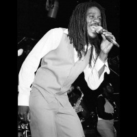 8 - Reggae Lover Podcast - Dennis Brown Roots and Culture