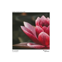 K Loveski LUMINOSITY 2 (Spitzer Ambient Series 2026)