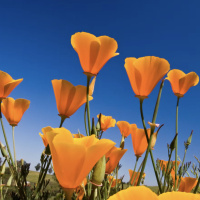 K Loveski SUMMER MIXTAPE 2025