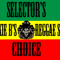 Selectors Choice