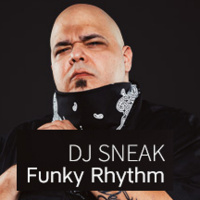 DJ Sneak - FunkyRhythm (Groenendal Remix)[FREE DOWNLOAD]