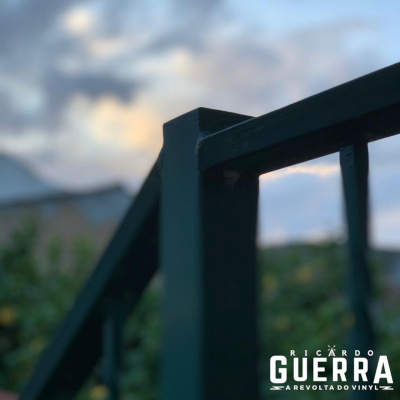 A Revolta Do Vinyl | Ricardo Guerra