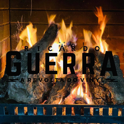 A Revolta Do Vinyl | Ricardo Guerra