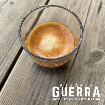 A Revolta Do Vinyl | Ricardo Guerra