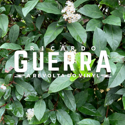 A Revolta Do Vinyl | Ricardo Guerra