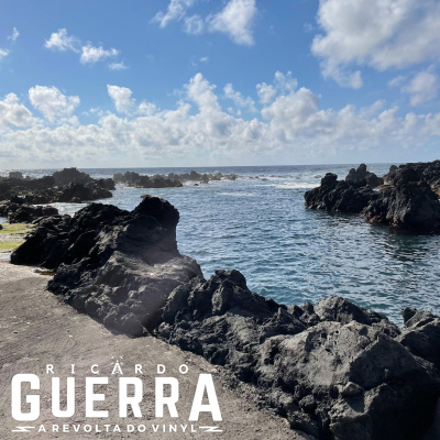 A Revolta Do Vinyl | Ricardo Guerra